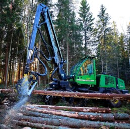 Mežizstrādes pirmais process - koku gāšana mašinizēti ar harvesteri